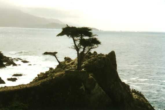 Carmel
