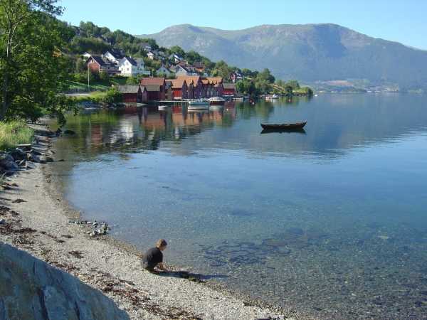 Rosendal