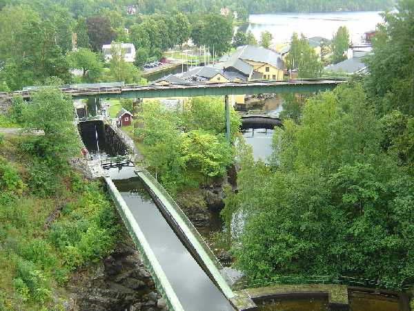 H&auml;verud