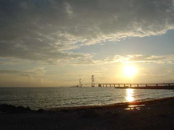 Halsskov